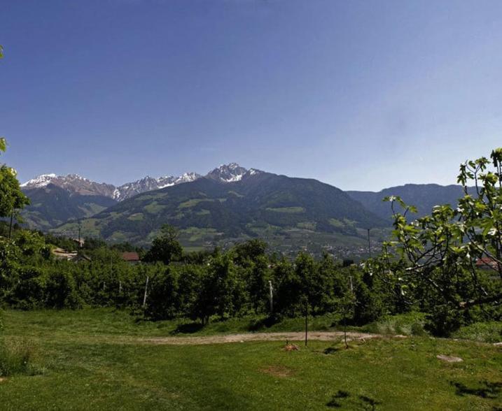 Residence Streitlhof Тироло Экстерьер фото