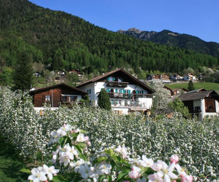 Residence Streitlhof Тироло Экстерьер фото